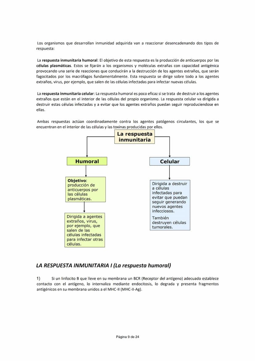 UNIDAD 5.- INMUNOLOGÍA
CONCEPTO DE INMUNIDAD (¹)
Conjunto de mecanismos que un individuo posee para enfrentarse a la invasión de cualquier c
