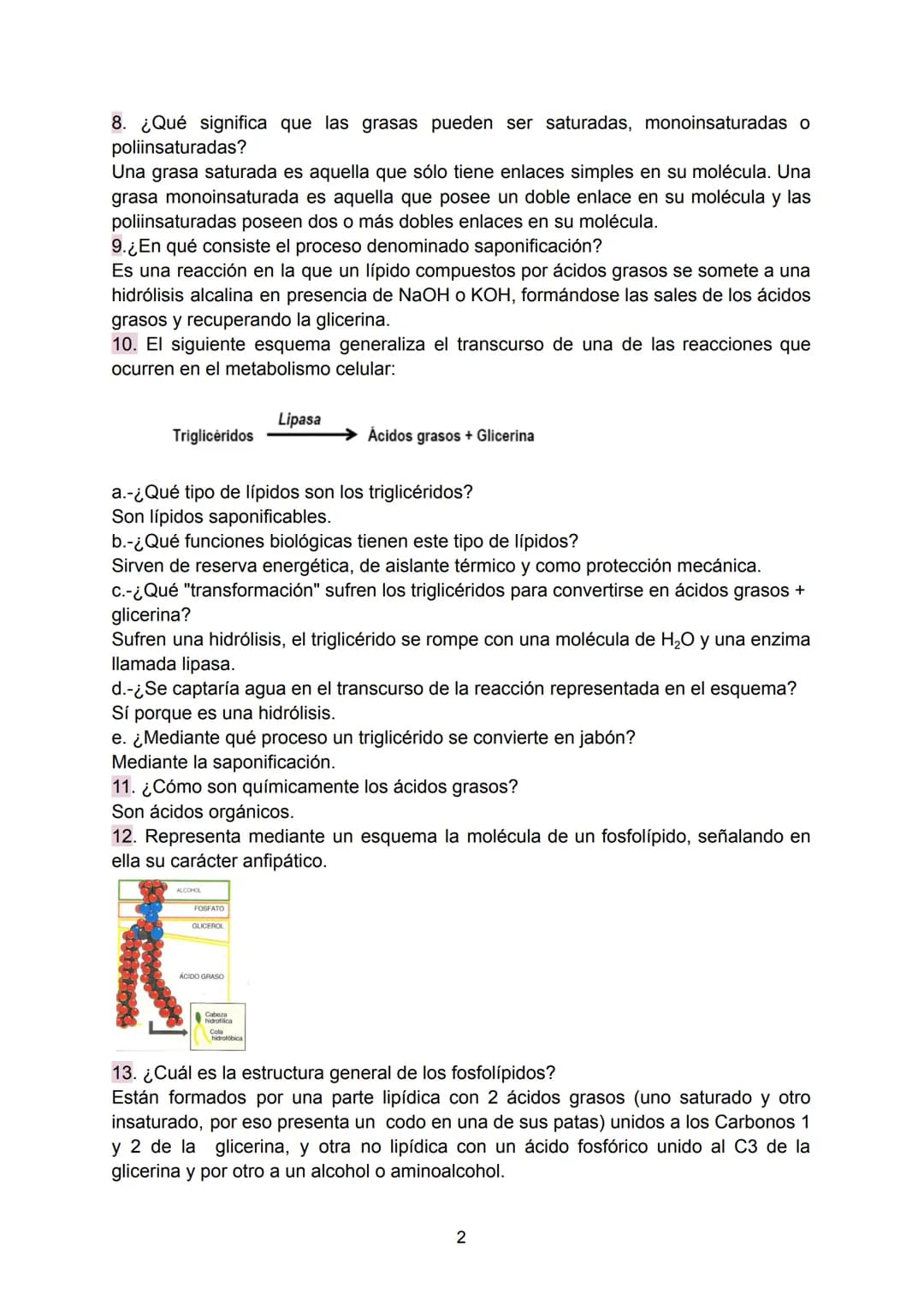 Preguntas Ebau - Lípidos
1. La figura muestra un cierto tipo de lípido. ¿Cuál es el nombre de este compuesto?
¿Cuales son los componentes de