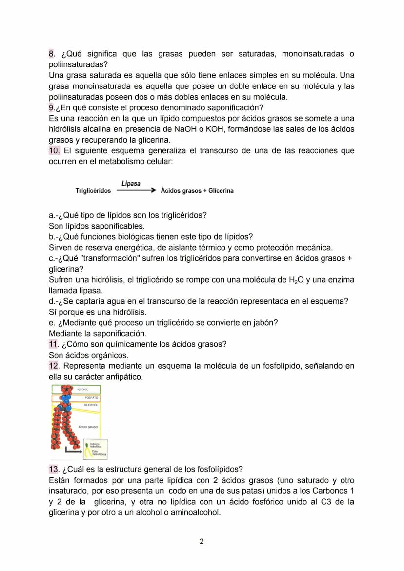 Preguntas Ebau - Lípidos
1. La figura muestra un cierto tipo de lípido. ¿Cuál es el nombre de este compuesto?
¿Cuales son los componentes de