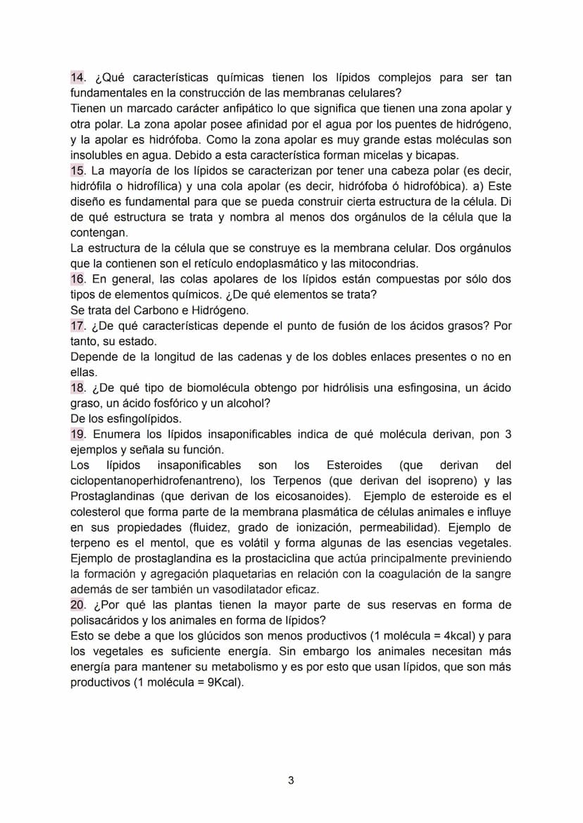 Preguntas Ebau - Lípidos
1. La figura muestra un cierto tipo de lípido. ¿Cuál es el nombre de este compuesto?
¿Cuales son los componentes de