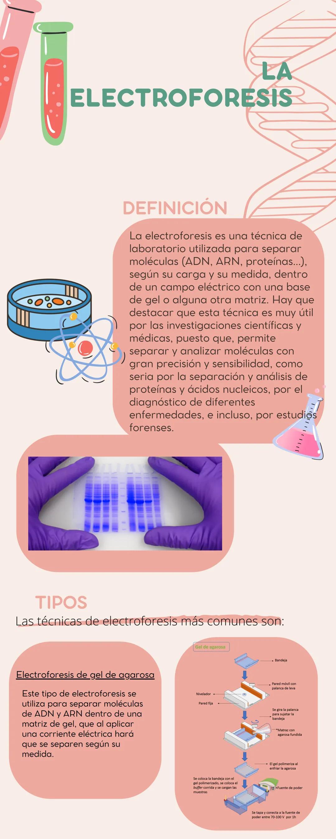 ELECTROFORESIS
DEFINICIÓN
La electroforesis es una técnica de
laboratorio utilizada para separar
moléculas (ADN, ARN, proteínas...),
según s