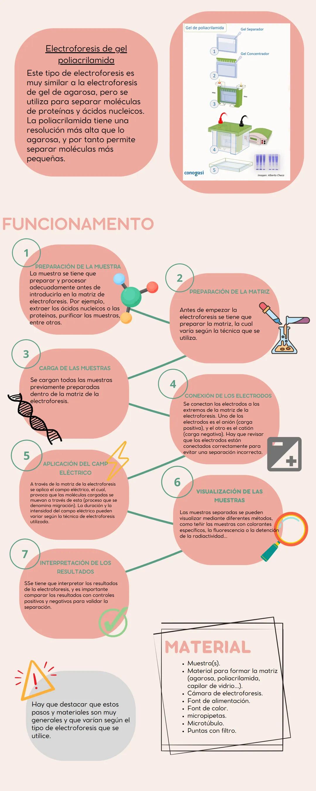 ELECTROFORESIS
DEFINICIÓN
La electroforesis es una técnica de
laboratorio utilizada para separar
moléculas (ADN, ARN, proteínas...),
según s