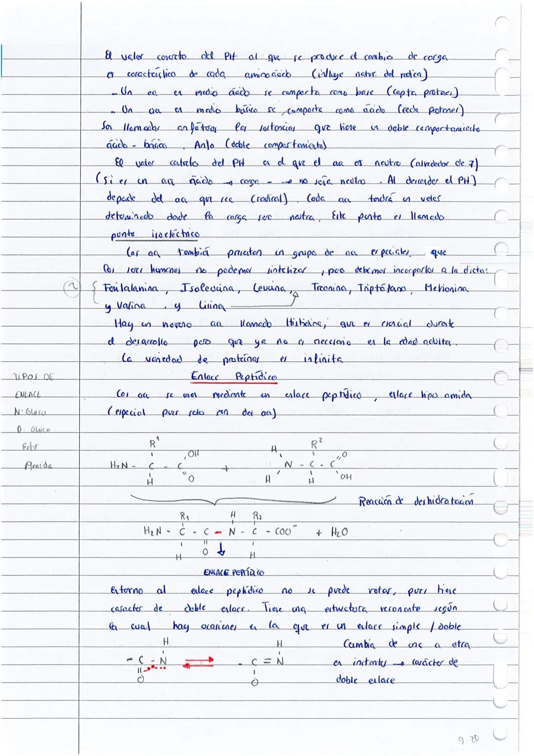 T
o
0
Q
Cal proteina
Hay protanes
elemento
H₂N
El
carbono
glico cola
Aminoácidos:
B
I
Co- COOH
1
H
(PH
CON CARGA +
SIN CARGA
grupo
:
Exempla