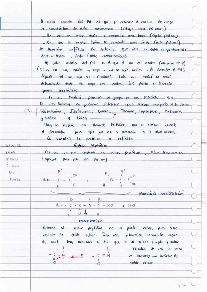 T
o
0
Q
Cal proteina
Hay protanes
elemento
H₂N
El
carbono
glico cola
Aminoácidos:
B
I
Co- COOH
1
H
(PH
CON CARGA +
SIN CARGA
grupo
:
Exempla