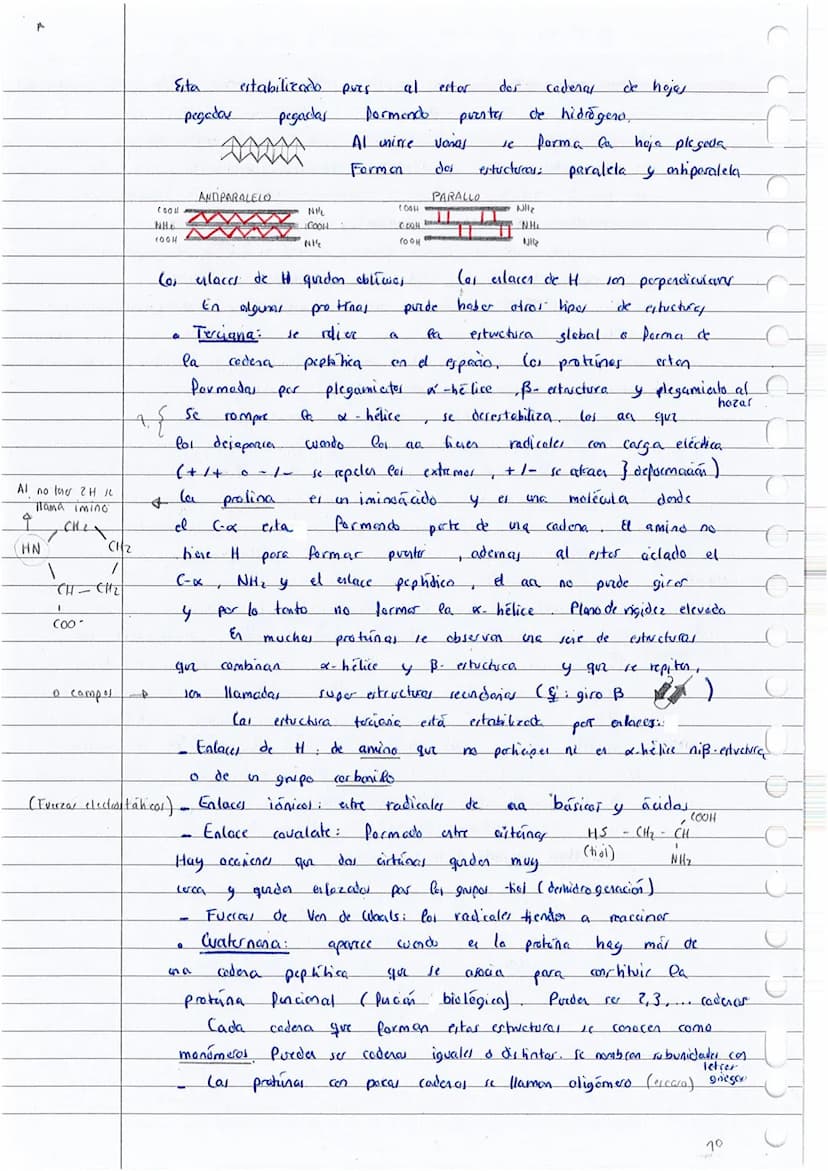 T
o
0
Q
Cal proteina
Hay protanes
elemento
H₂N
El
carbono
glico cola
Aminoácidos:
B
I
Co- COOH
1
H
(PH
CON CARGA +
SIN CARGA
grupo
:
Exempla