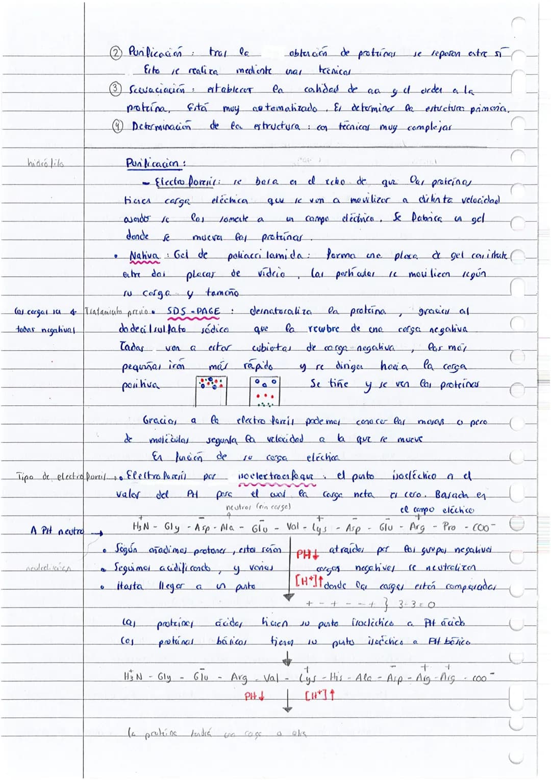T
o
0
Q
Cal proteina
Hay protanes
elemento
H₂N
El
carbono
glico cola
Aminoácidos:
B
I
Co- COOH
1
H
(PH
CON CARGA +
SIN CARGA
grupo
:
Exempla