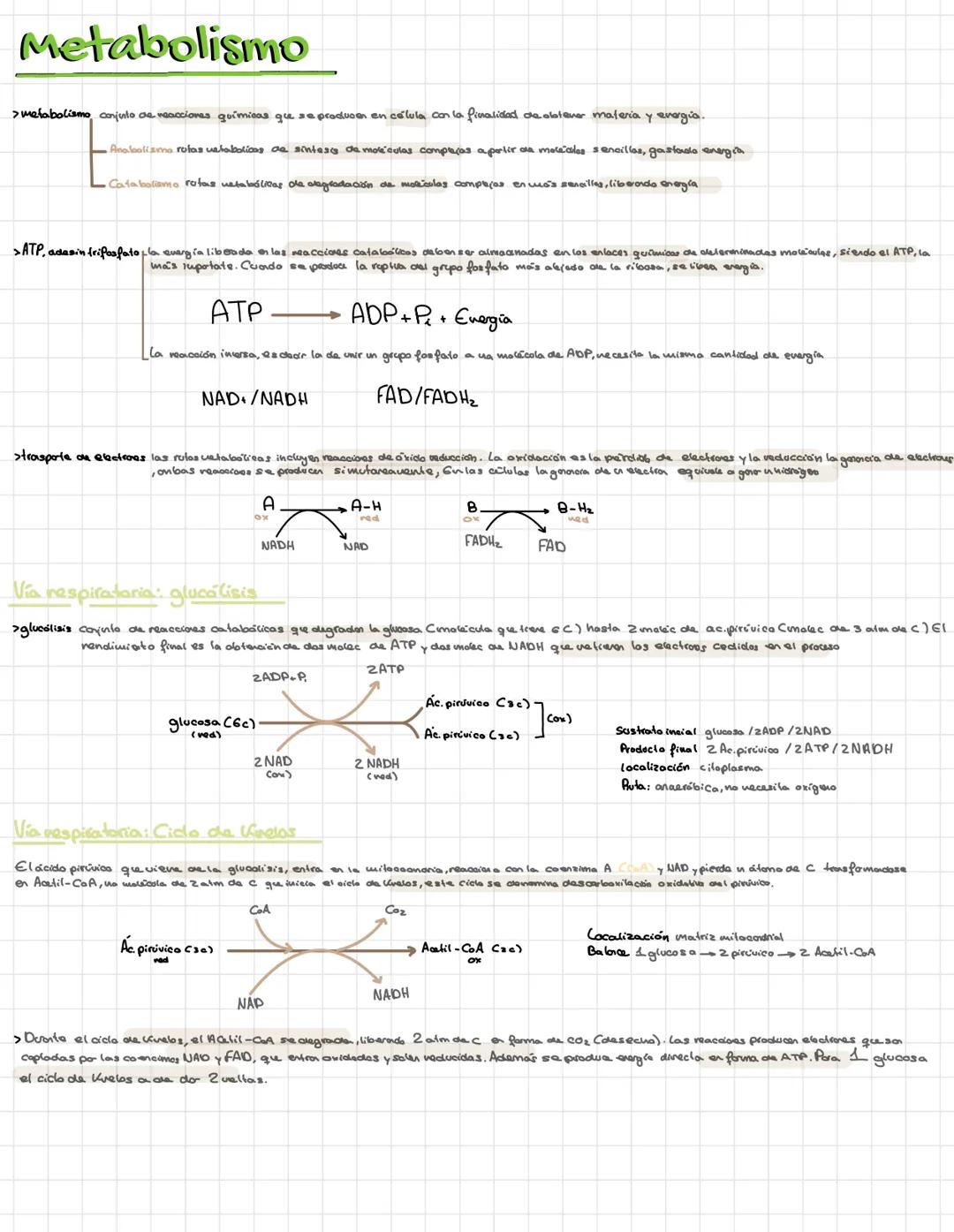 Bioquímica
> Bioelementos elementos químicos que formen parte de los seres vivos
primios más del 90% de la materia viva CHONPS tieren una ba