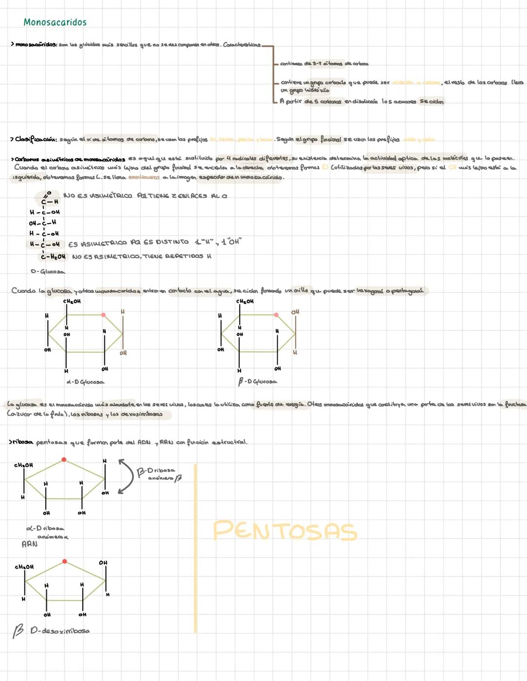 Bioquímica
> Bioelementos elementos químicos que formen parte de los seres vivos
primios más del 90% de la materia viva CHONPS tieren una ba