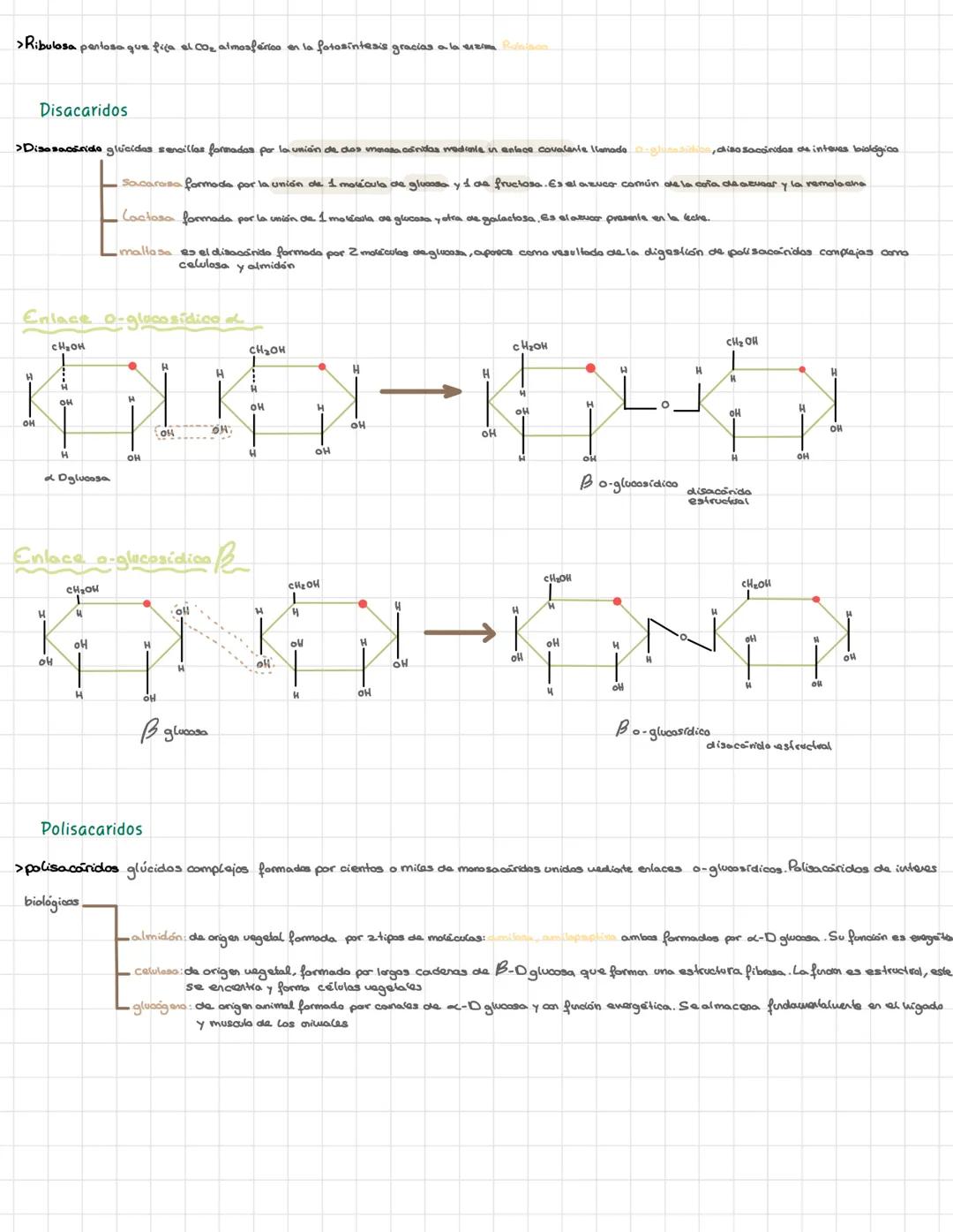 Bioquímica
> Bioelementos elementos químicos que formen parte de los seres vivos
primios más del 90% de la materia viva CHONPS tieren una ba