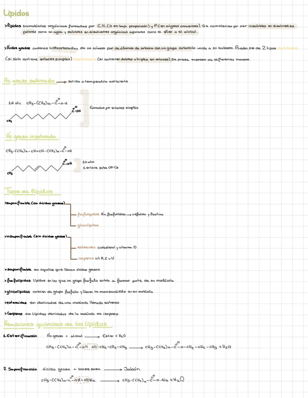 Bioquímica
> Bioelementos elementos químicos que formen parte de los seres vivos
primios más del 90% de la materia viva CHONPS tieren una ba