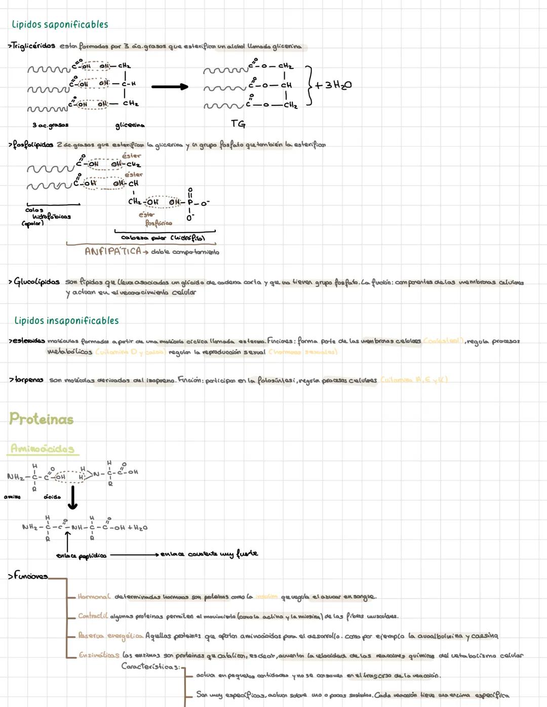 Bioquímica
> Bioelementos elementos químicos que formen parte de los seres vivos
primios más del 90% de la materia viva CHONPS tieren una ba