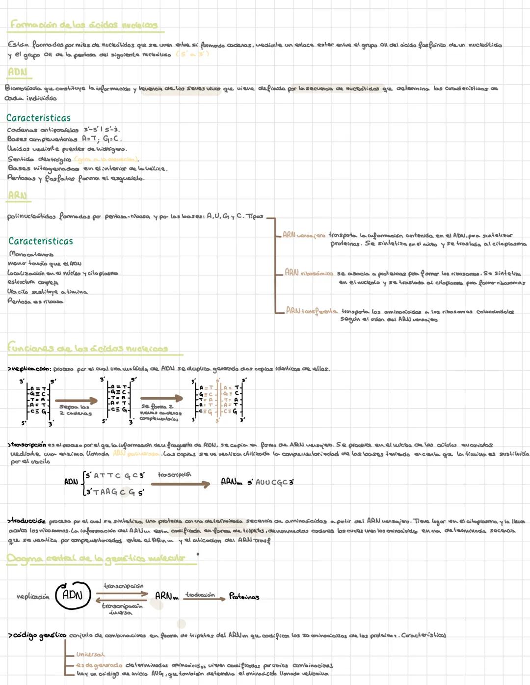 Bioquímica
> Bioelementos elementos químicos que formen parte de los seres vivos
primios más del 90% de la materia viva CHONPS tieren una ba