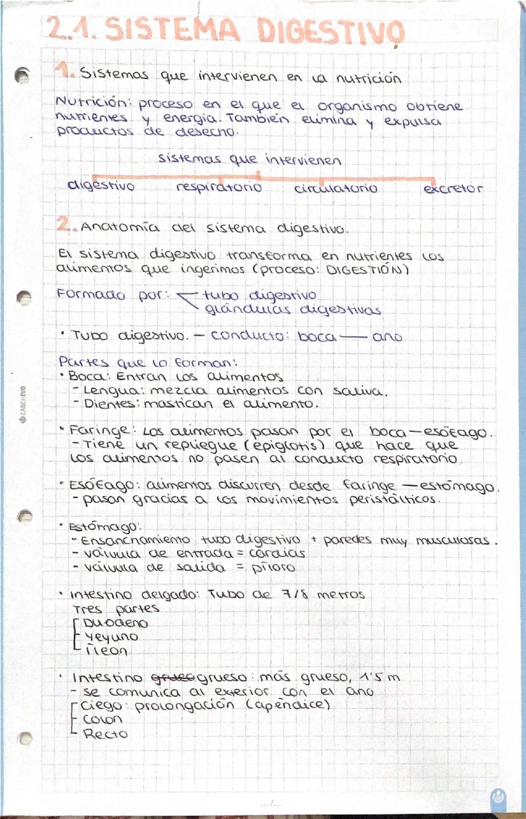 --- OCR Start ---
CARCHIVO
2.1. SISTEMA DIGESTIVO
Sistemas que intervienen en la nutrición
Nutrición: proceso en el que el organismo obtiene