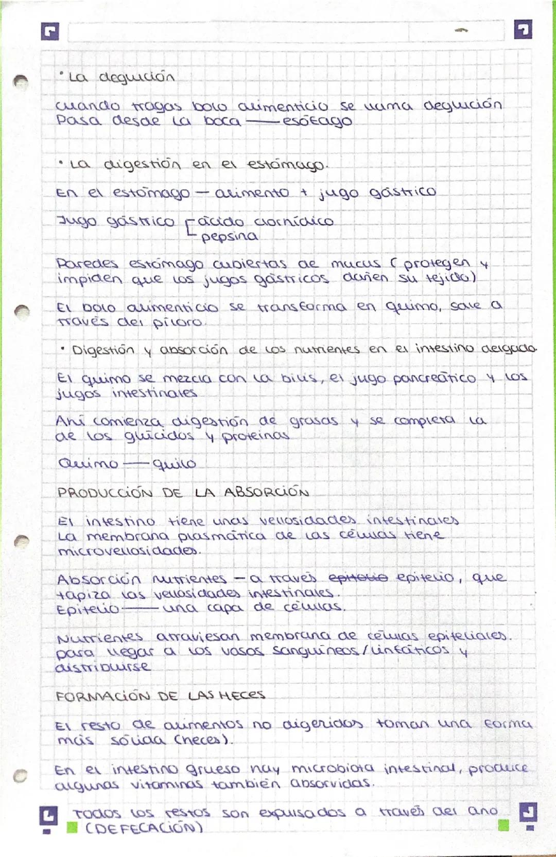 --- OCR Start ---
CARCHIVO
2.1. SISTEMA DIGESTIVO
Sistemas que intervienen en la nutrición
Nutrición: proceso en el que el organismo obtiene