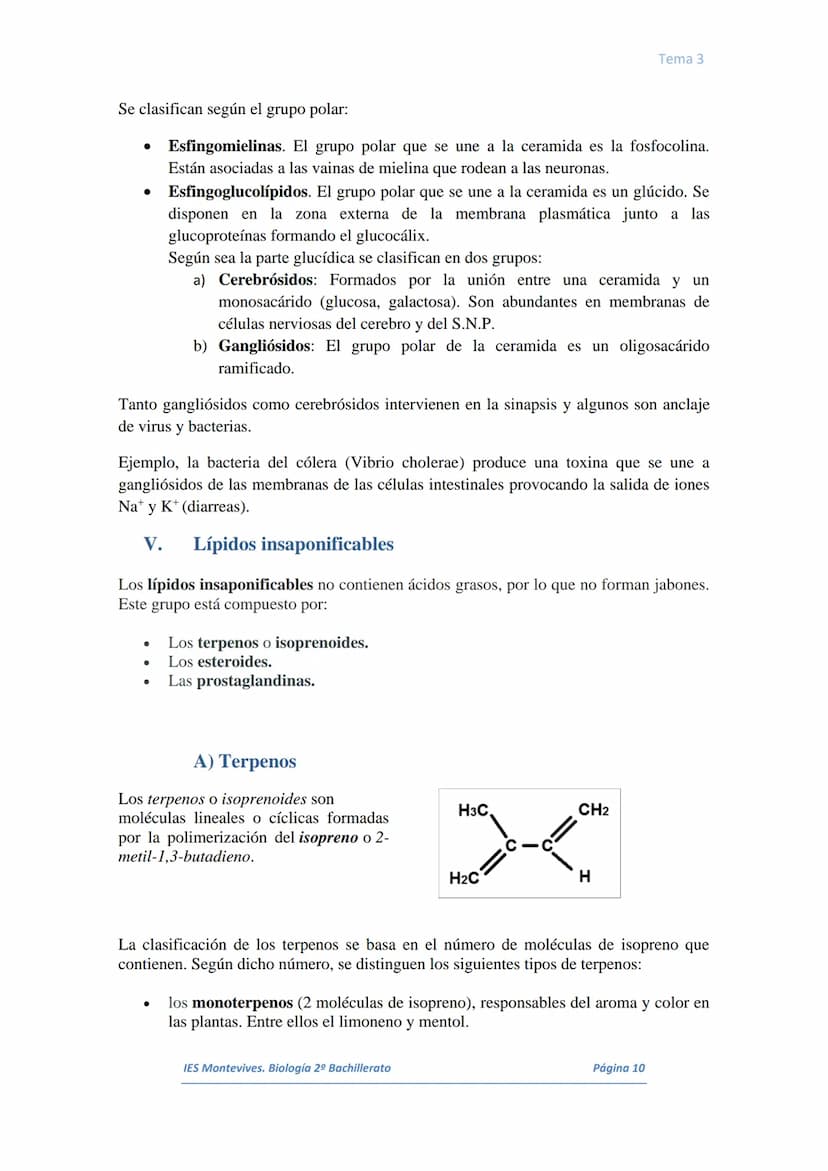 I.
II.
III.
IV.
V.
VI.
I.
TEMA 3 LOS LÍPIDOS
Concepto. Características generales
Los lípidos son biomoléculas orgánicas que contienen cadena