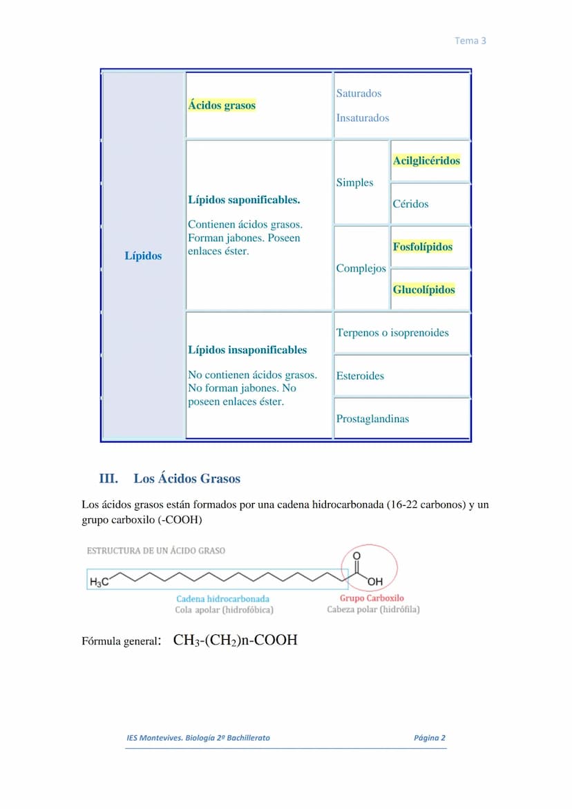 I.
II.
III.
IV.
V.
VI.
I.
TEMA 3 LOS LÍPIDOS
Concepto. Características generales
Los lípidos son biomoléculas orgánicas que contienen cadena