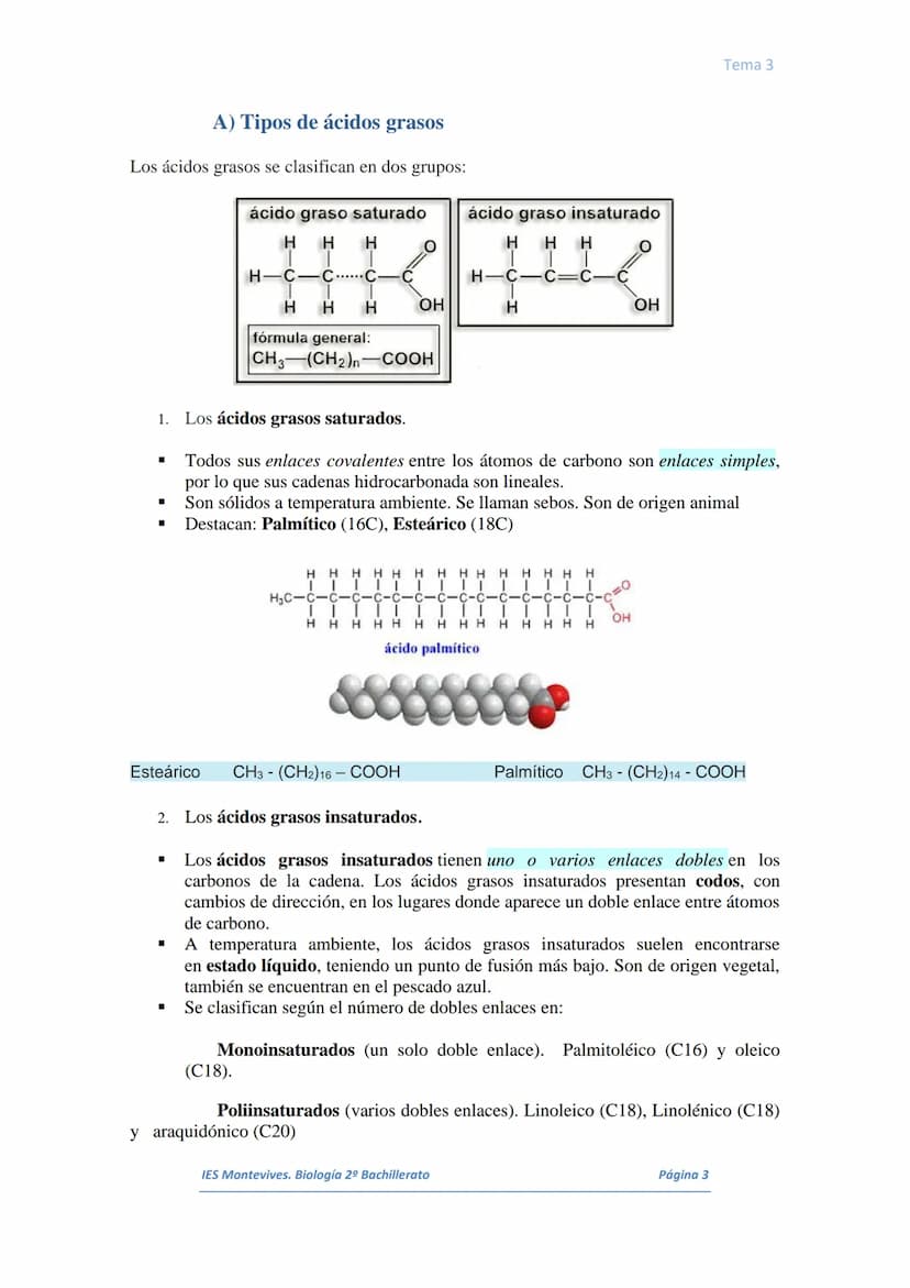 I.
II.
III.
IV.
V.
VI.
I.
TEMA 3 LOS LÍPIDOS
Concepto. Características generales
Los lípidos son biomoléculas orgánicas que contienen cadena