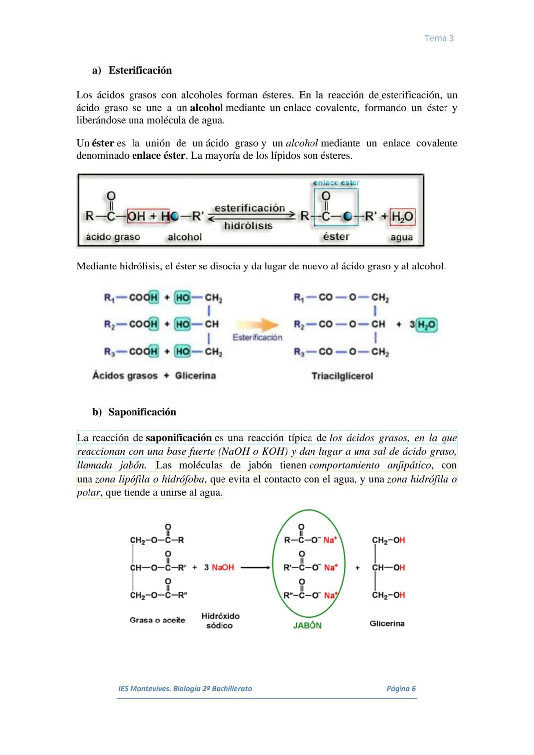 I.
II.
III.
IV.
V.
VI.
I.
TEMA 3 LOS LÍPIDOS
Concepto. Características generales
Los lípidos son biomoléculas orgánicas que contienen cadena