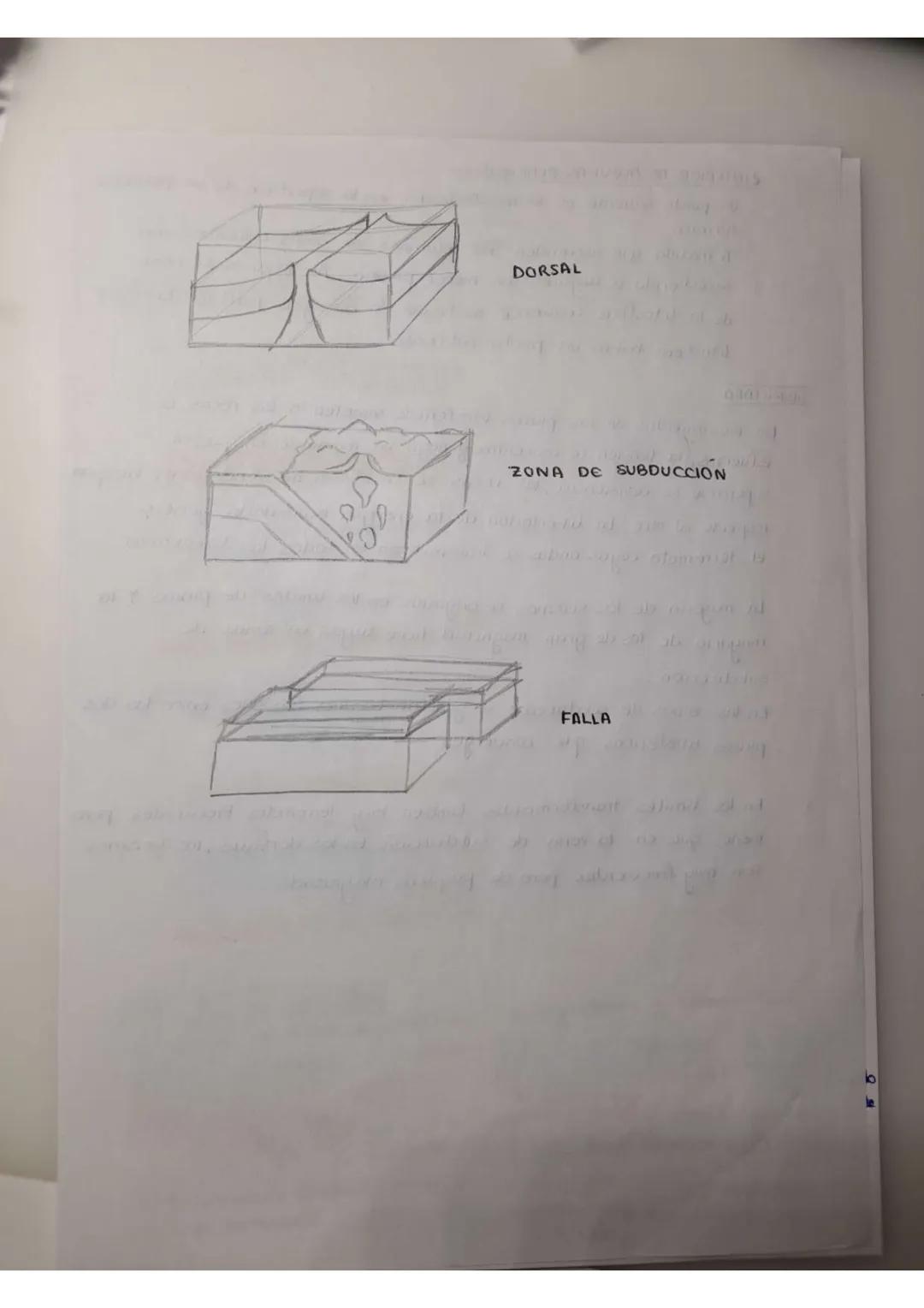 TEMA 7
La tectonica
de placas
nacido en
La litosfera oceánico se crea en las dorsales,
lados. Toda litosfera oceanica ha
las zonas de subduc