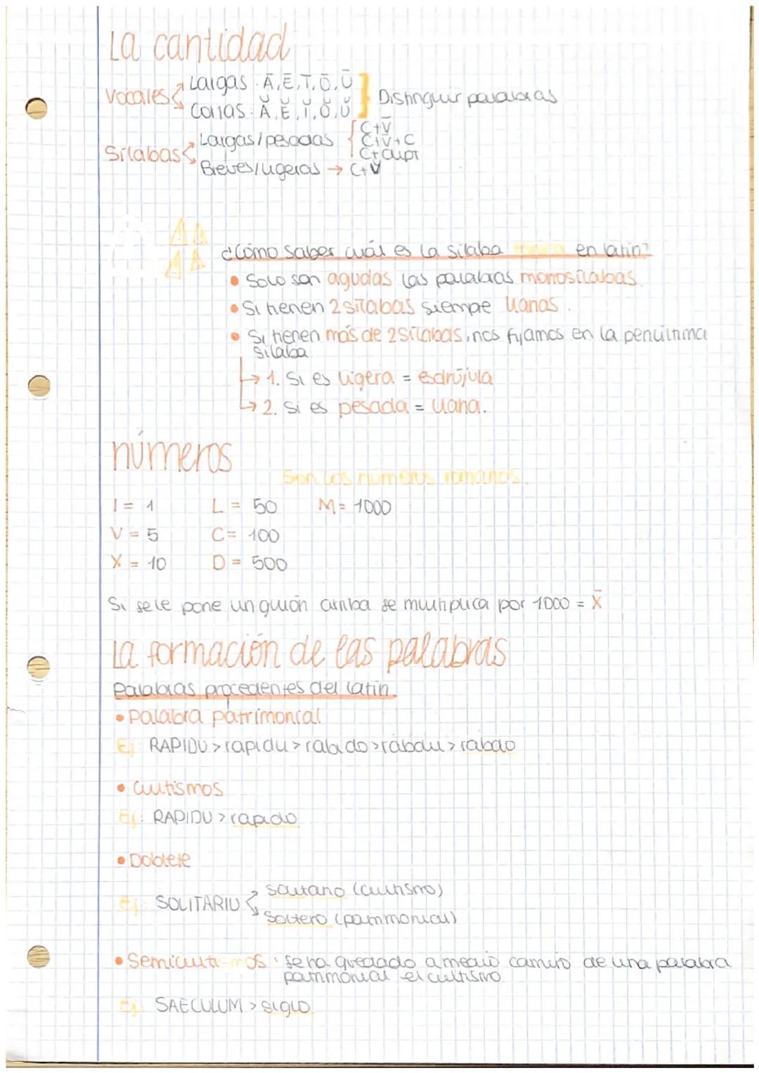 Tema 1: LALENGUA LATINA
ICULTURA LATINA
Lenguas de España
Castellano
Catalan
Gallego
Valencians.
Euskera →→ No del latin.
Del latin
El latin
