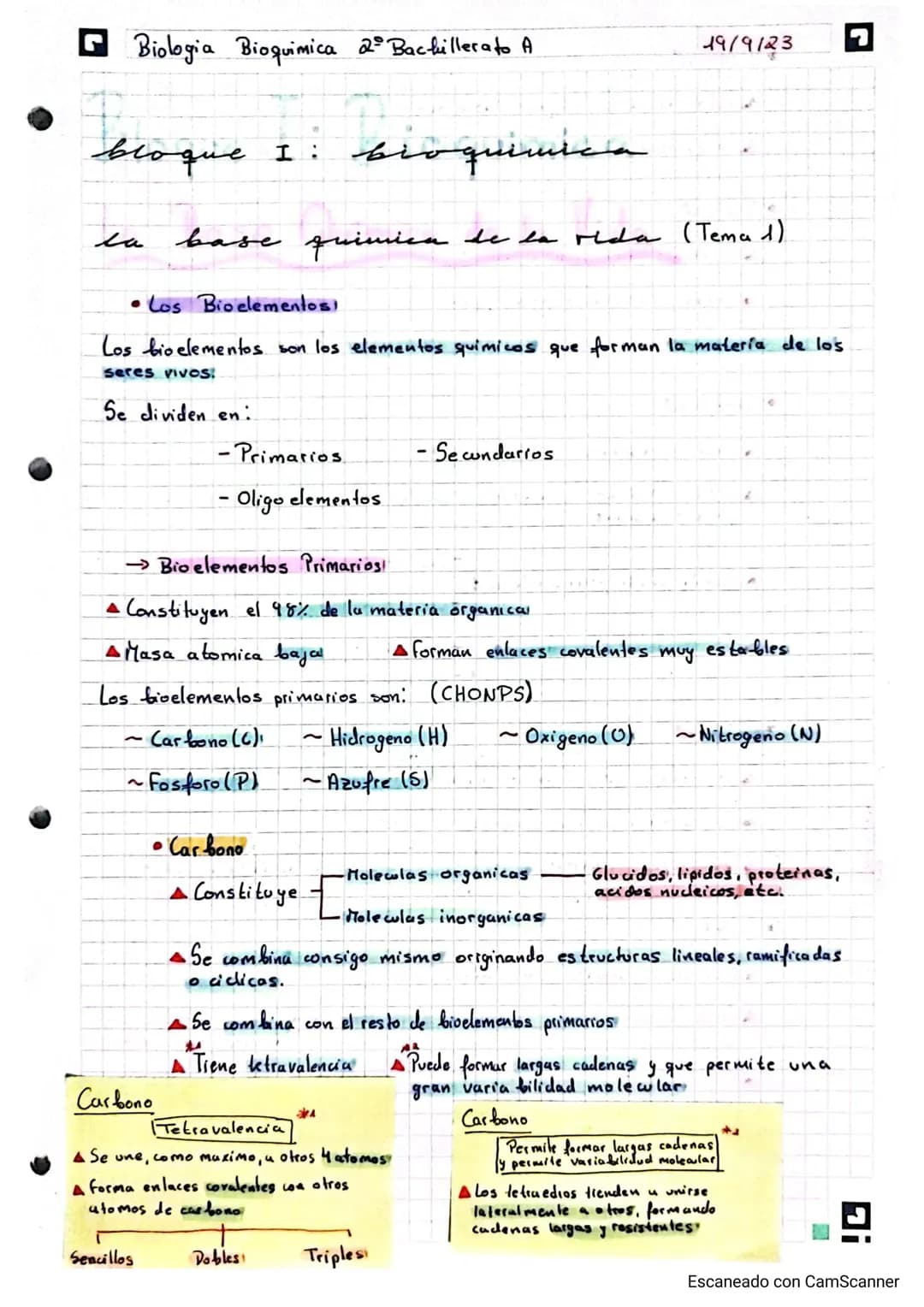 La base de la vida 