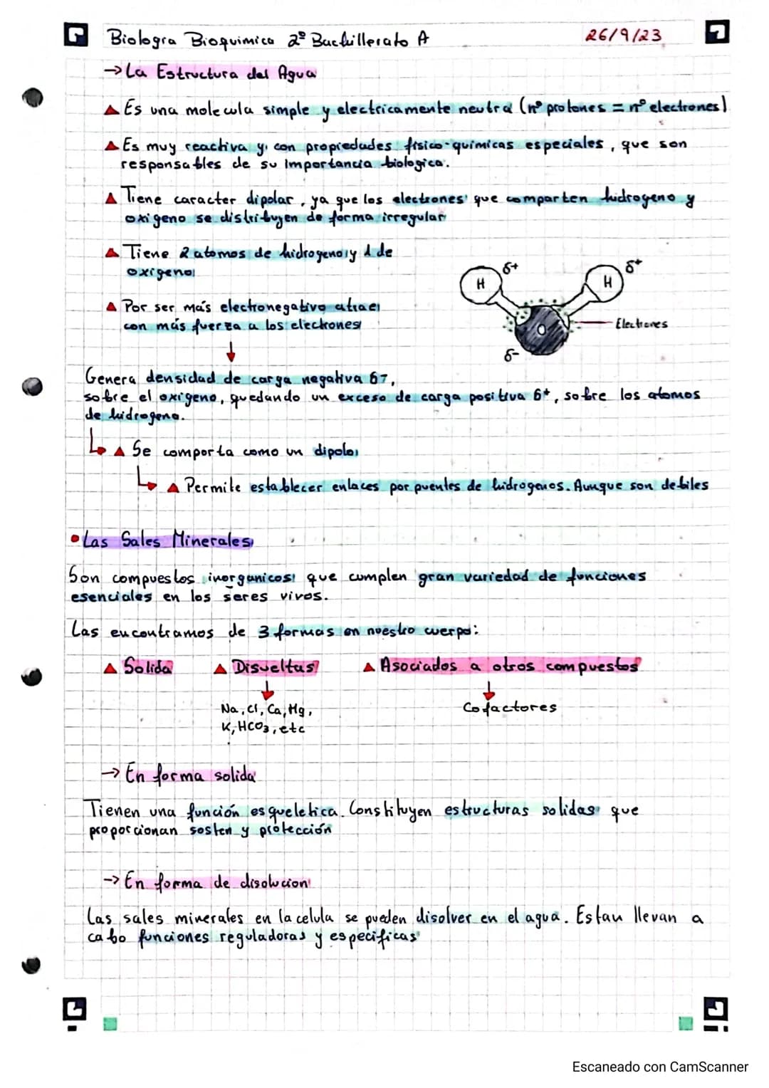 Biologia Bioquimica 2° Bachillerato A
bloque I: bioquimica
سا
base quimic
Se dividen en:
• Los Bioelementos!
Los bio elementos son los eleme