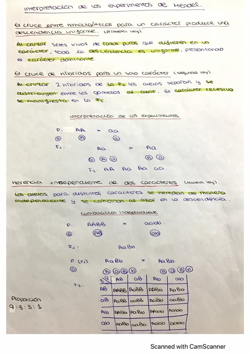 herencia genética
• Contribución de Hendel
a la genética..
1860, descubrió los principios de 6
Gregor Mendel, en
herencia de los caracteres 