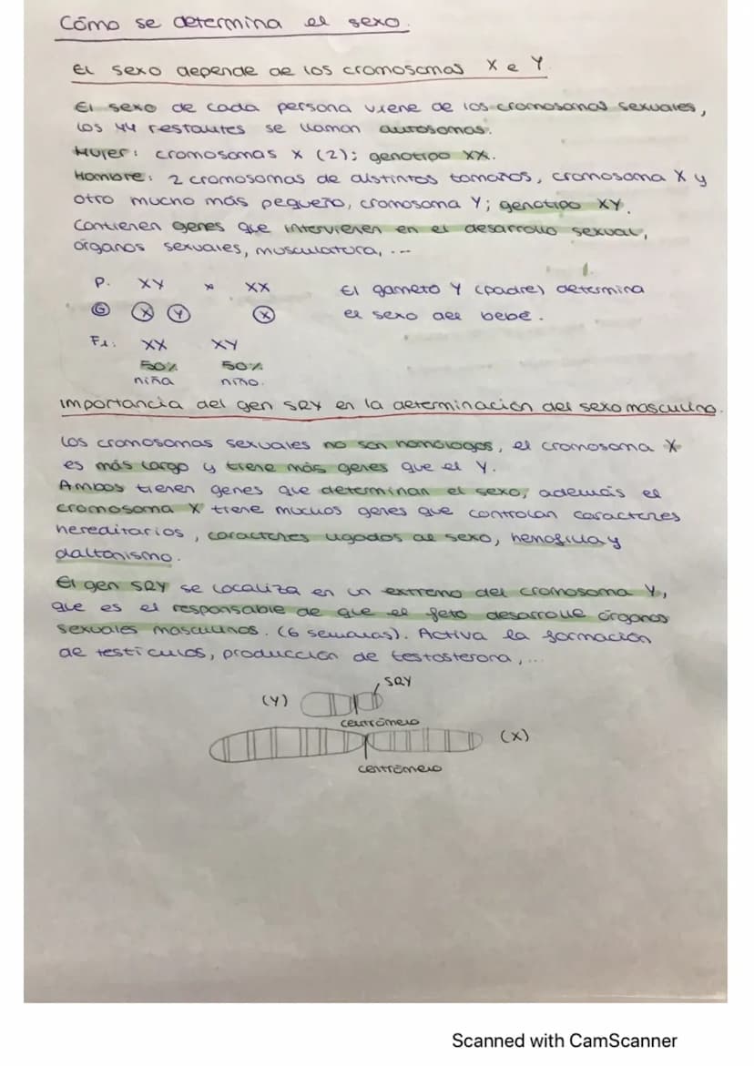 herencia genética
• Contribución de Hendel
a la genética..
1860, descubrió los principios de 6
Gregor Mendel, en
herencia de los caracteres 