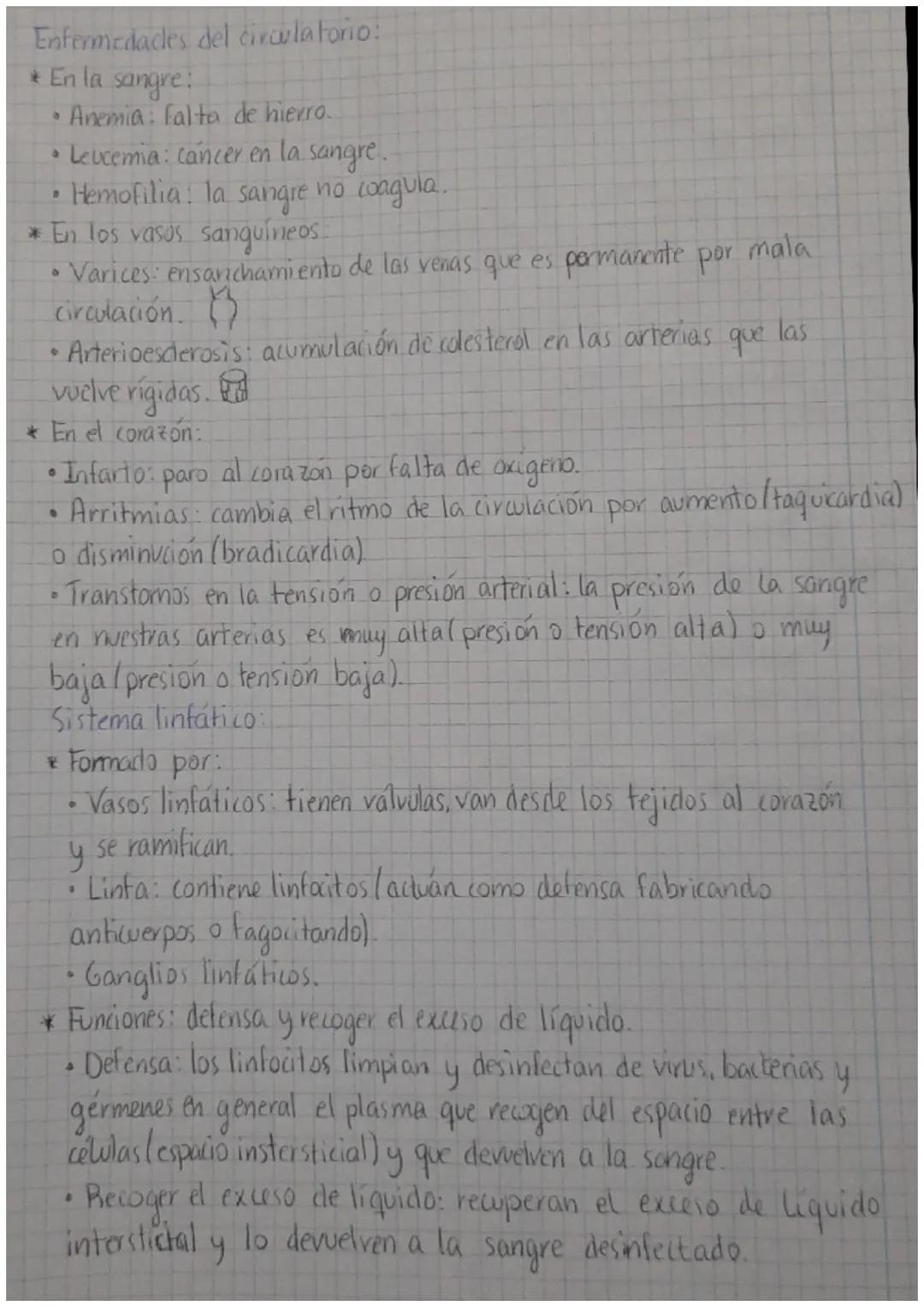 vena cava superior
venas
pulmonares
Arteria
Auriculo
derecho
Ventriwo
derecho
aorta
vena cava inferior
Arteria pulmonar
válvula
pulmonar
val