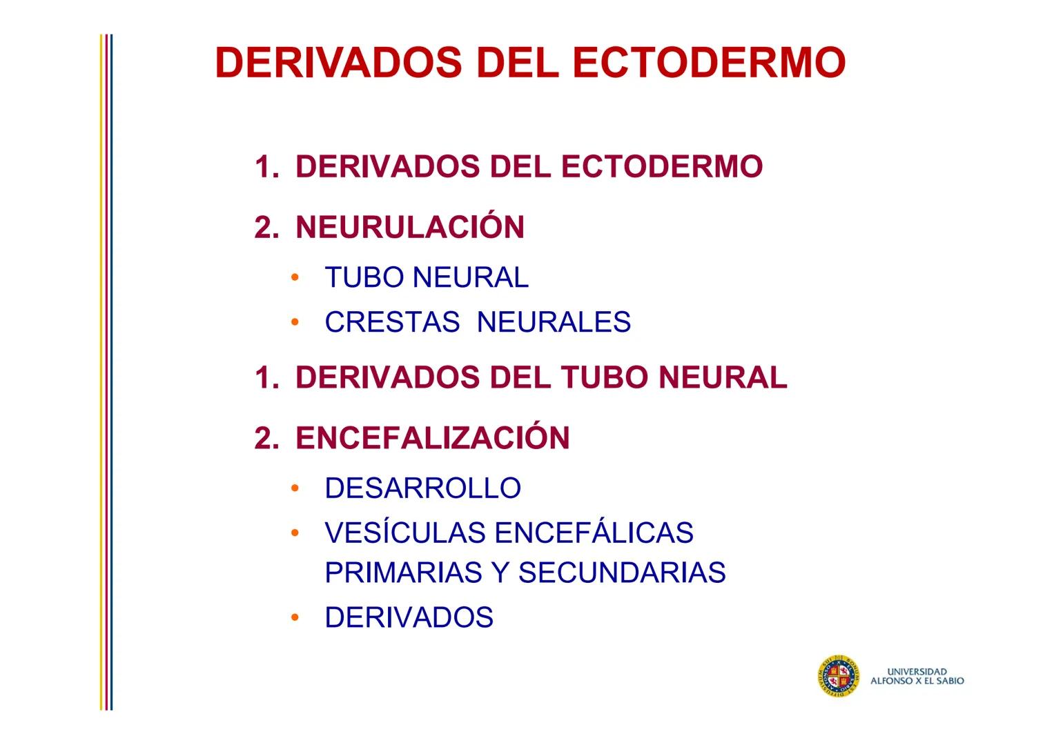 EMBRIOLOGÍA

TEMA 6

DERIVADOS DEL

ECTODERMO

SUL/3BONU
E
4
n
Σ

UNIVERSIDAD
ALFONSO X EL SABIO # DERIVADOS DEL ECTODERMO

1. DERIVADOS DEL