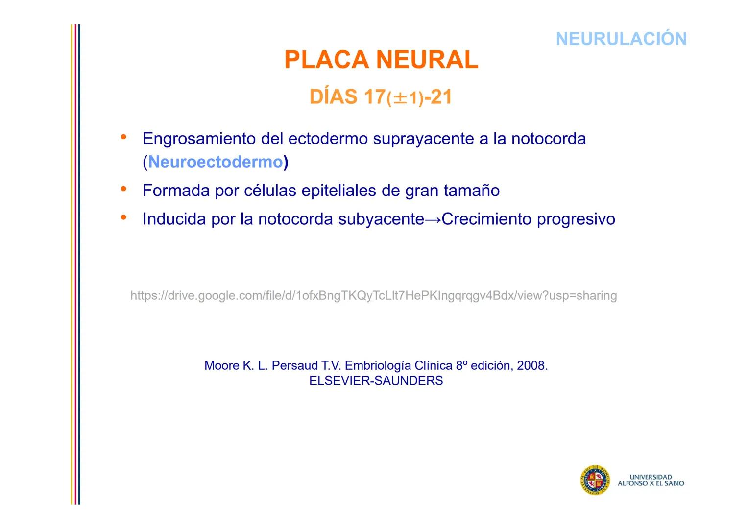 EMBRIOLOGÍA

TEMA 6

DERIVADOS DEL

ECTODERMO

SUL/3BONU
E
4
n
Σ

UNIVERSIDAD
ALFONSO X EL SABIO # DERIVADOS DEL ECTODERMO

1. DERIVADOS DEL