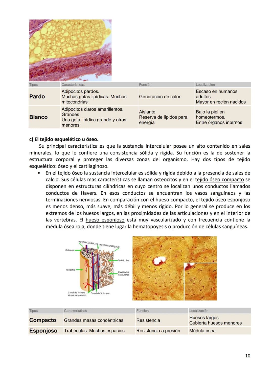 TEMA 1. ORGANIZACIÓN BÁSICA DEL CUERPO HUMANO
1.- DEFINICIÓN DE ANATOMÍA Y BREVE HISTORIA
1.1.- Definición
Anatomía: ciencia que estudia la 