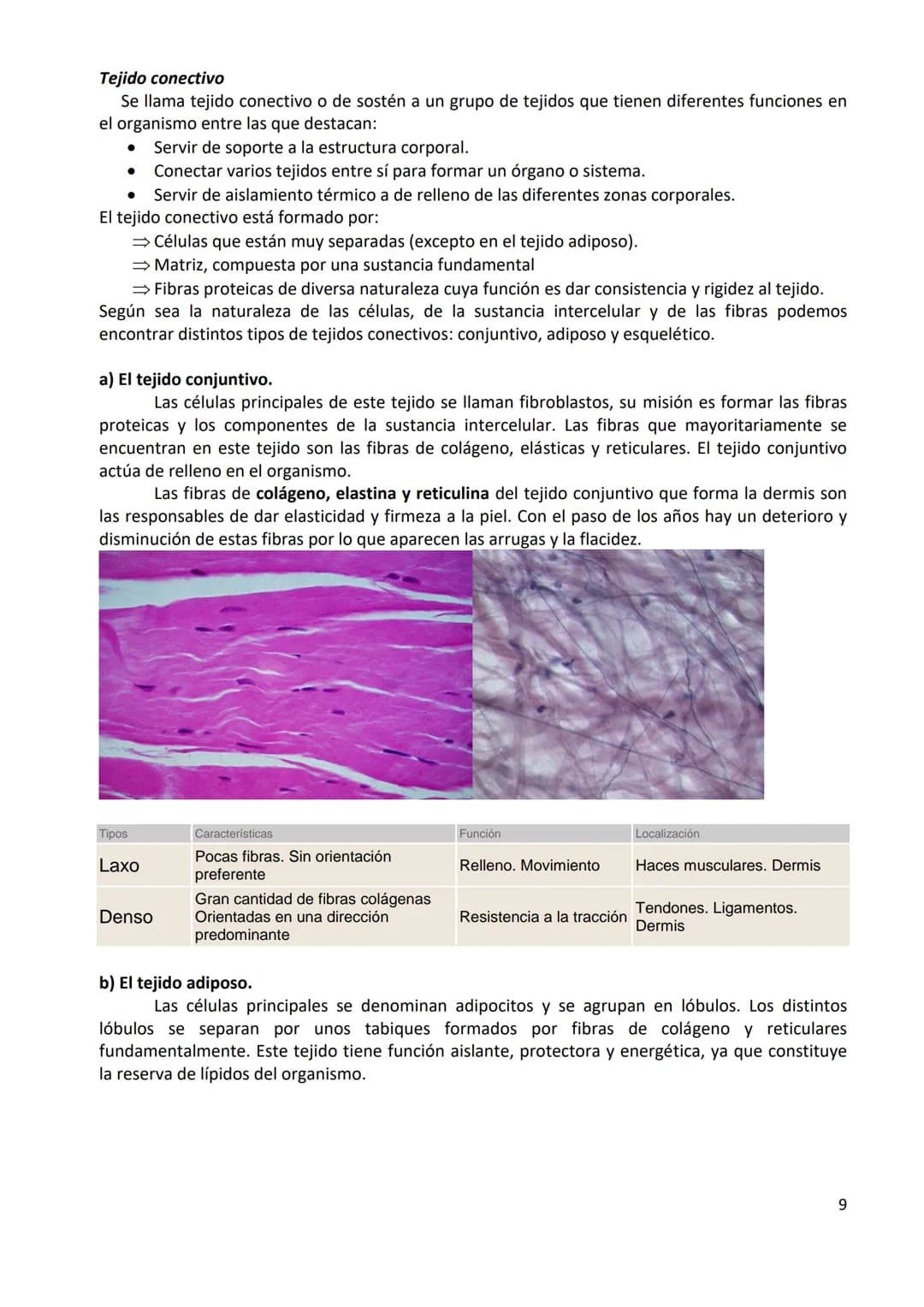 TEMA 1. ORGANIZACIÓN BÁSICA DEL CUERPO HUMANO
1.- DEFINICIÓN DE ANATOMÍA Y BREVE HISTORIA
1.1.- Definición
Anatomía: ciencia que estudia la 