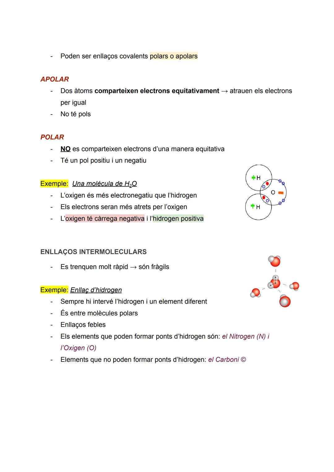 RESUM BIOLOGIA TEMA 1: LA COMPOSICIÓ DELS
ÉSSERS VIUS

Apunts de: 1r de Batxillerat científic
Assignatura: Biologia (bioquímica)
Curs: 2022/