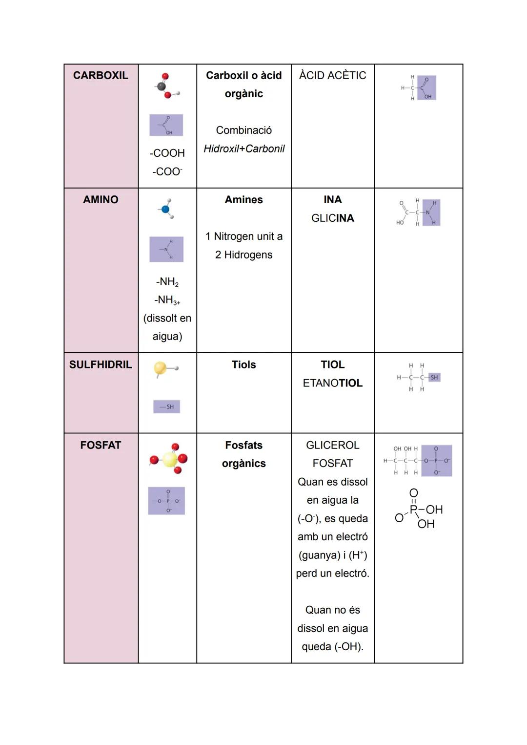 RESUM BIOLOGIA TEMA 1: LA COMPOSICIÓ DELS
ÉSSERS VIUS

Apunts de: 1r de Batxillerat científic
Assignatura: Biologia (bioquímica)
Curs: 2022/