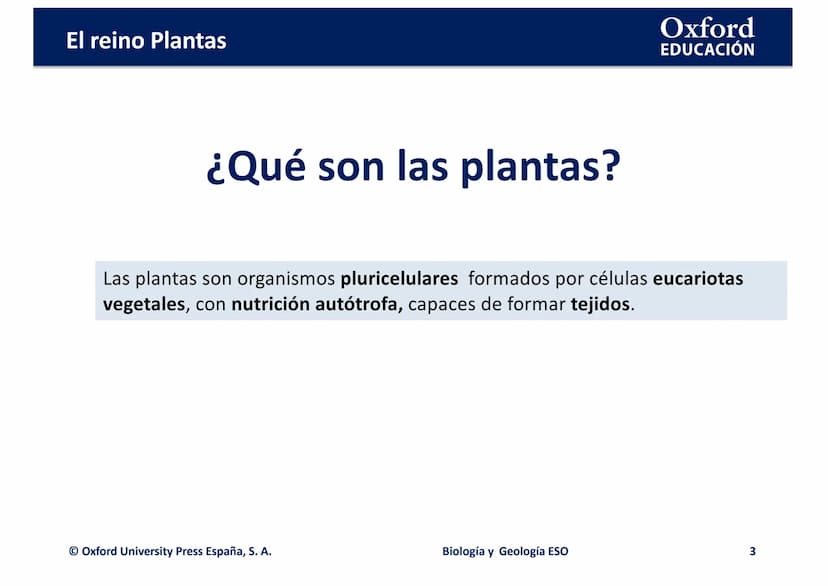 TEMA 4: EL REINO
EING
PLANTAS
logia
Biología y Geología
Oxford
EDUCACIÓN
DO
DOMI MINA El reino Plantas
●
¿Qué son las plantas?
• ¿Cómo son l
