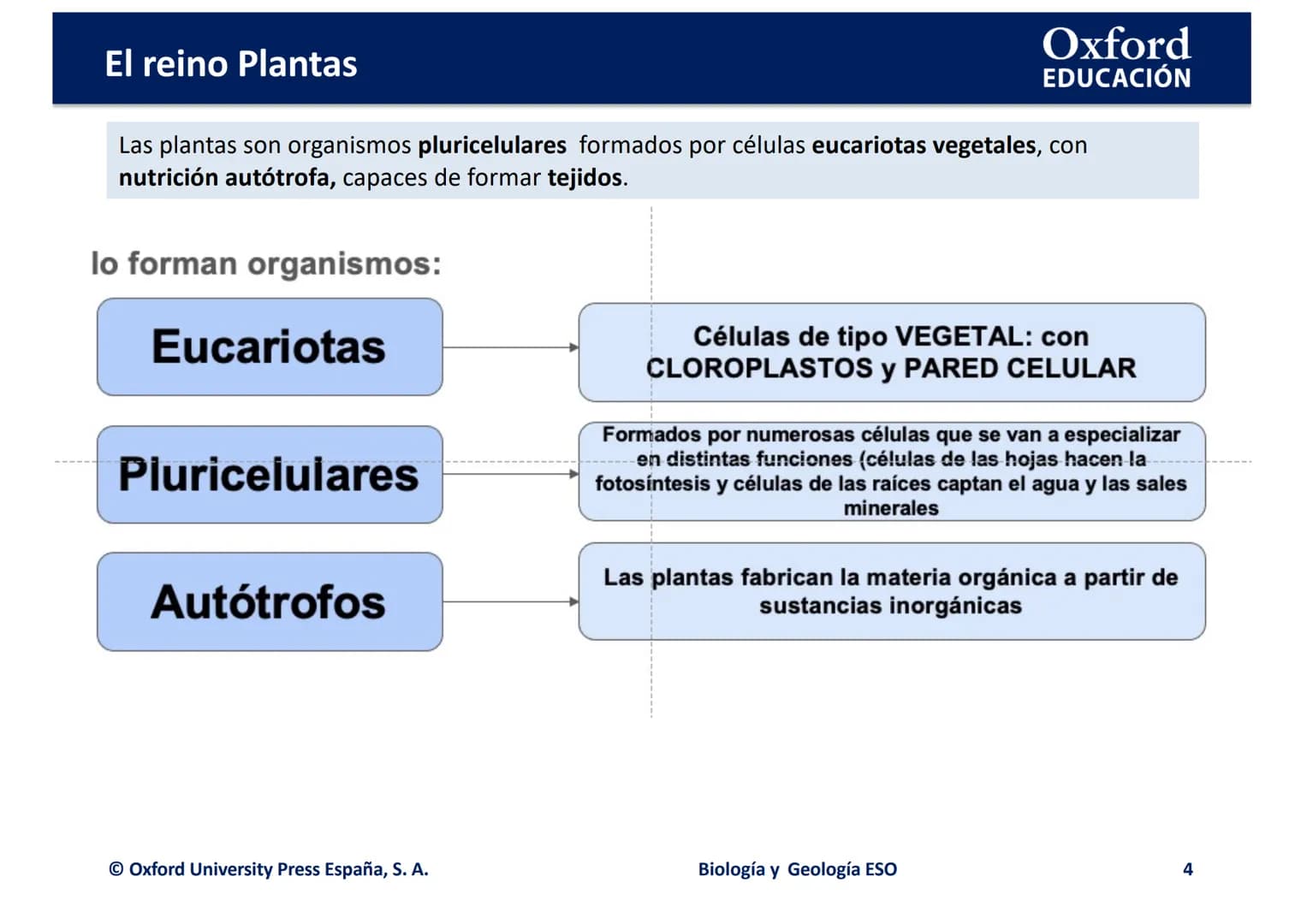 TEMA 4: EL REINO
EING
PLANTAS
logia
Biología y Geología
Oxford
EDUCACIÓN
DO
DOMI MINA El reino Plantas
●
¿Qué son las plantas?
• ¿Cómo son l