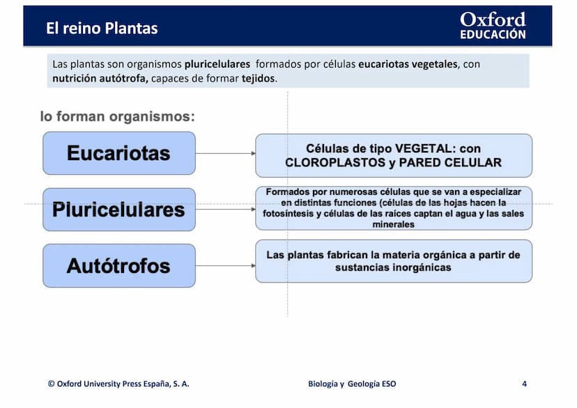 TEMA 4: EL REINO
EING
PLANTAS
logia
Biología y Geología
Oxford
EDUCACIÓN
DO
DOMI MINA El reino Plantas
●
¿Qué son las plantas?
• ¿Cómo son l