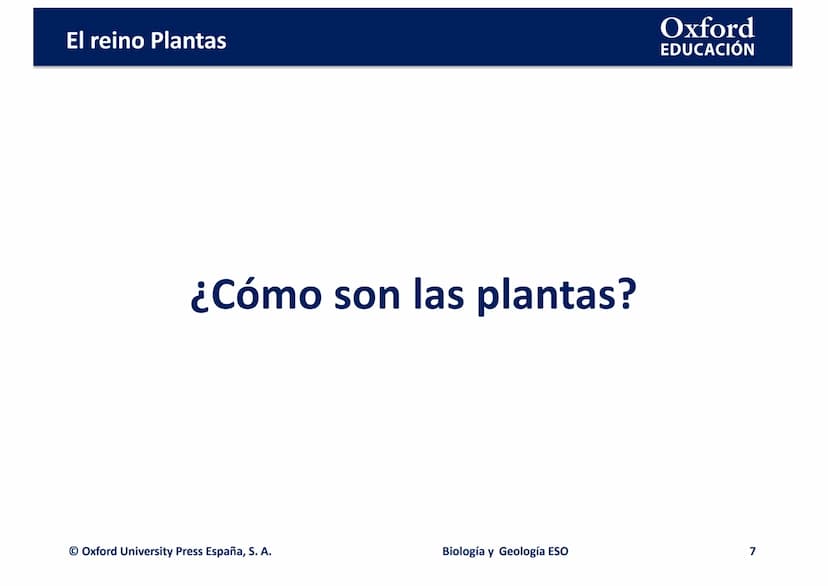 TEMA 4: EL REINO
EING
PLANTAS
logia
Biología y Geología
Oxford
EDUCACIÓN
DO
DOMI MINA El reino Plantas
●
¿Qué son las plantas?
• ¿Cómo son l