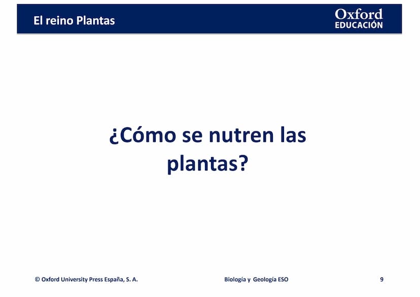 TEMA 4: EL REINO
EING
PLANTAS
logia
Biología y Geología
Oxford
EDUCACIÓN
DO
DOMI MINA El reino Plantas
●
¿Qué son las plantas?
• ¿Cómo son l