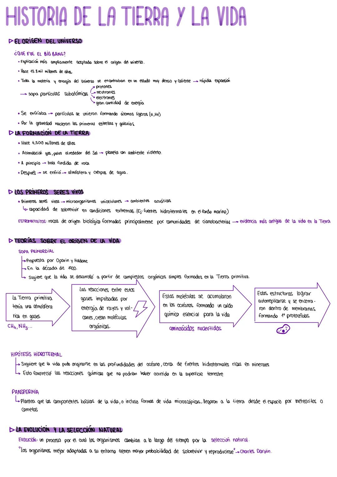 Historia de la Vida y la Tierra: Teorías del Origen del Universo