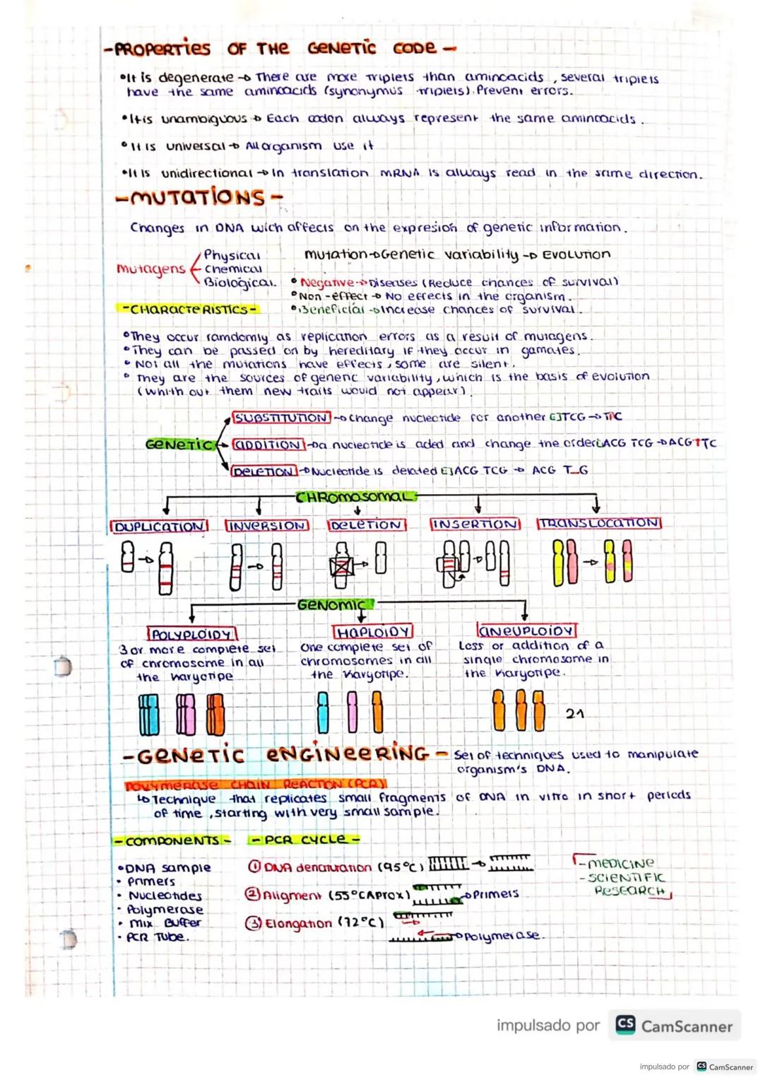 21
UNIT 3
GENETIC INFORMATION AND NUCLEIC ACIDS
Molecular BIOLOGY
Is the science that studies the structure, functions and another aspects.

