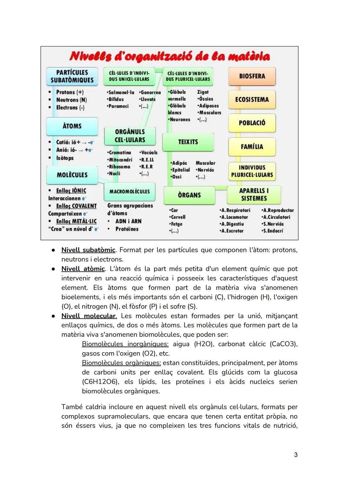 # T01.- LA CÈL·LULA

Continguts que veurem en aquesta Unitat Didàctica

*   La cèl·lula: Estructura i Funcions.
*   El Cicle Cellular..

## 