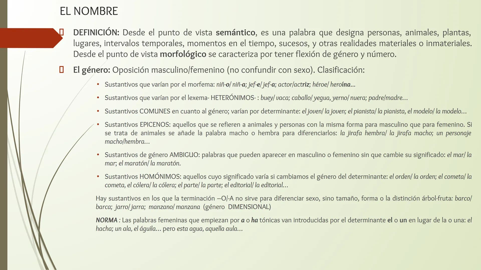 CLASES DE PALABRAS
LENGUA CASTELLANA CLASES DE PALABRAS
La Gramática de una lengua tiene dos componentes básicos que nos permiten crear cual