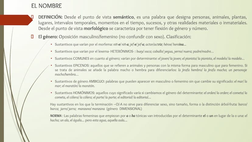 CLASES DE PALABRAS
LENGUA CASTELLANA CLASES DE PALABRAS
La Gramática de una lengua tiene dos componentes básicos que nos permiten crear cual