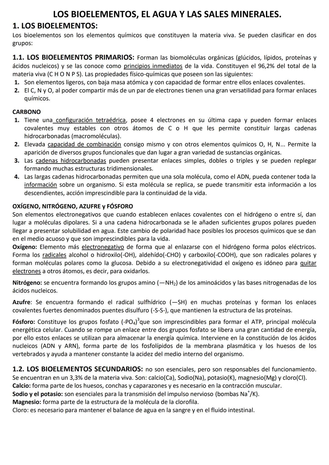 Todo sobre los Bioelementos: Primarios, Secundarios y Oligoelementos