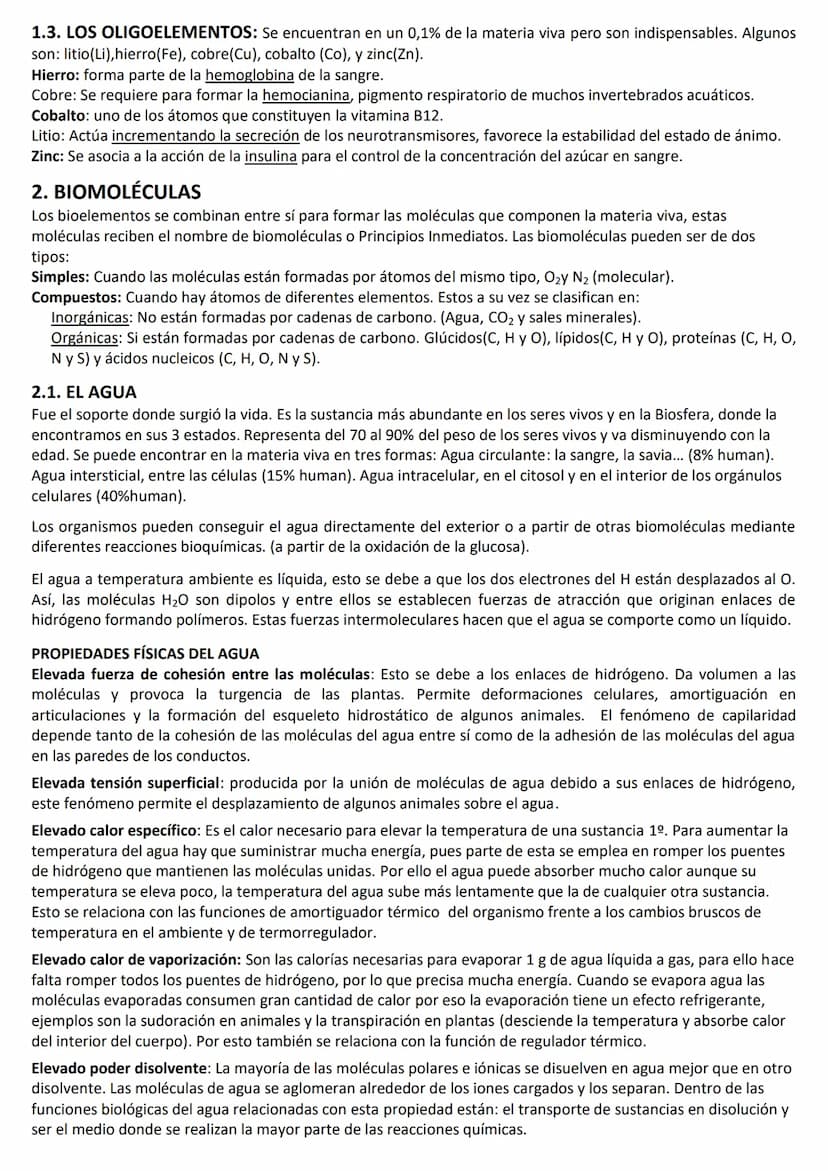 LOS BIOELEMENTOS, EL AGUA Y LAS SALES MINERALES.
1. LOS BIOELEMENTOS:
Los bioelementos son los elementos químicos que constituyen la materia
