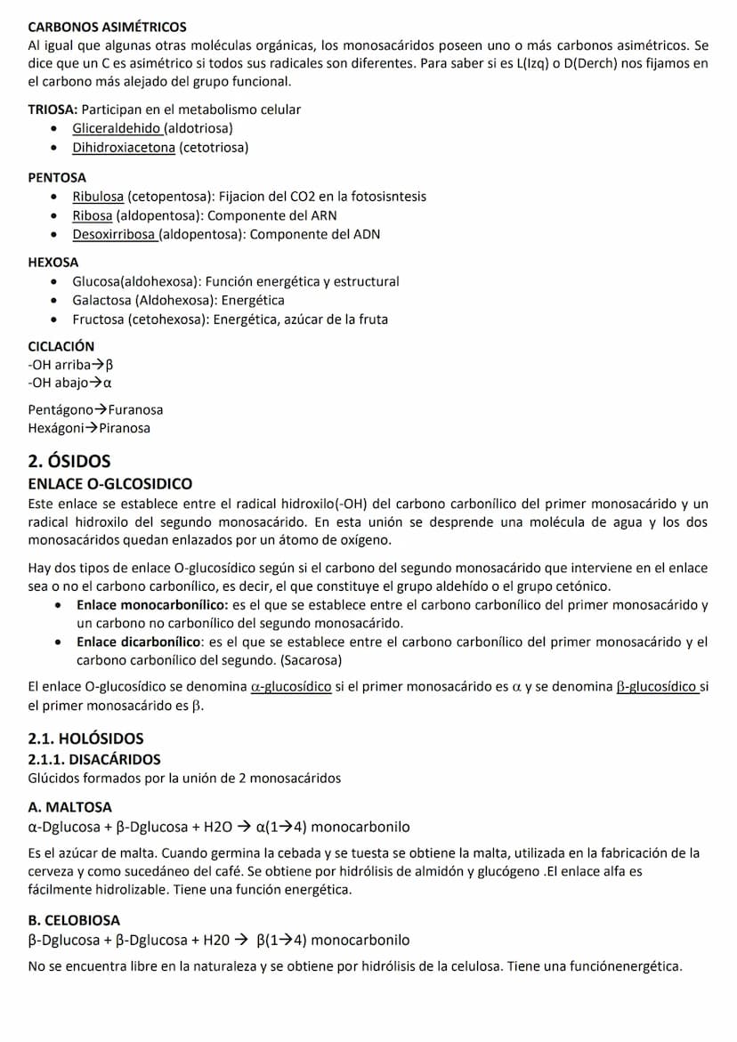 LOS BIOELEMENTOS, EL AGUA Y LAS SALES MINERALES.
1. LOS BIOELEMENTOS:
Los bioelementos son los elementos químicos que constituyen la materia