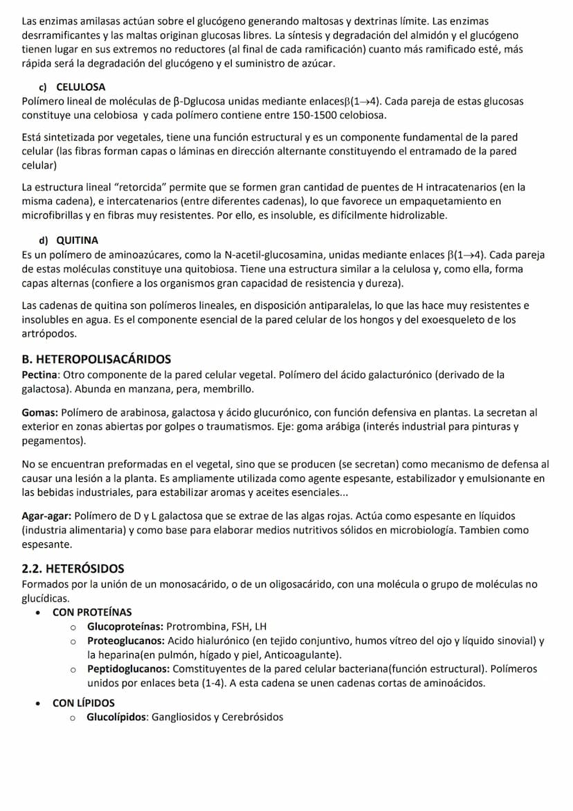 LOS BIOELEMENTOS, EL AGUA Y LAS SALES MINERALES.
1. LOS BIOELEMENTOS:
Los bioelementos son los elementos químicos que constituyen la materia