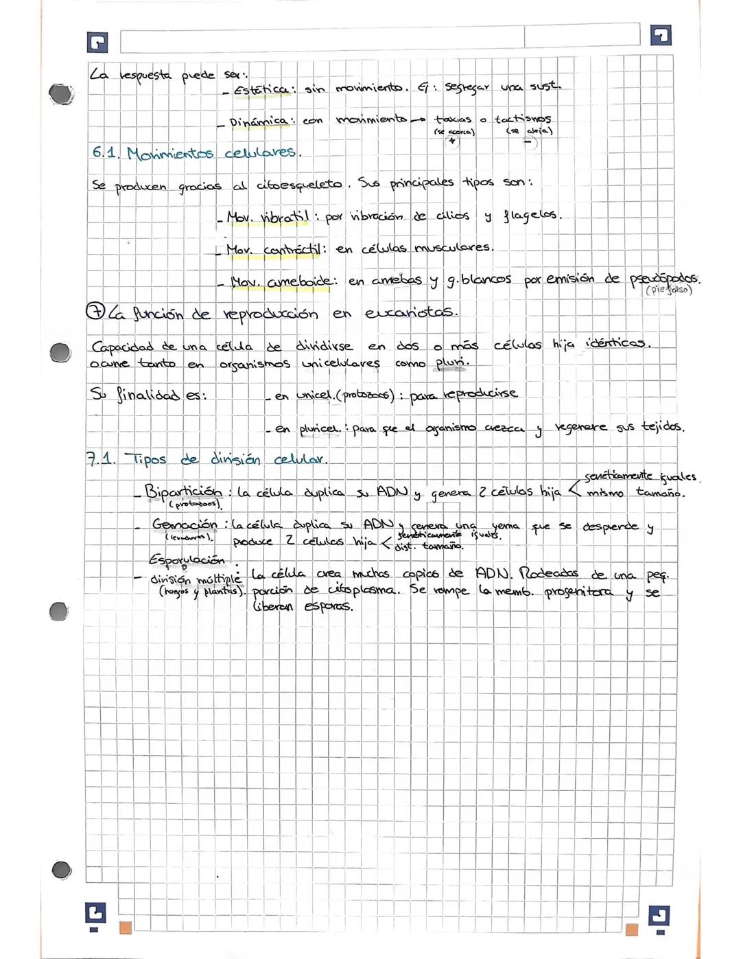 Biología Tipos de células y su estructura 